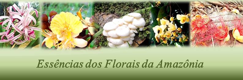 Essências dos Florais da Amazônia