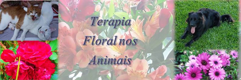 Terapia floral nos animais