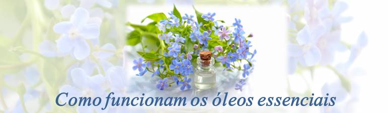 Como funcionam os óleos essenciais Como funcionam os óleos essenciais